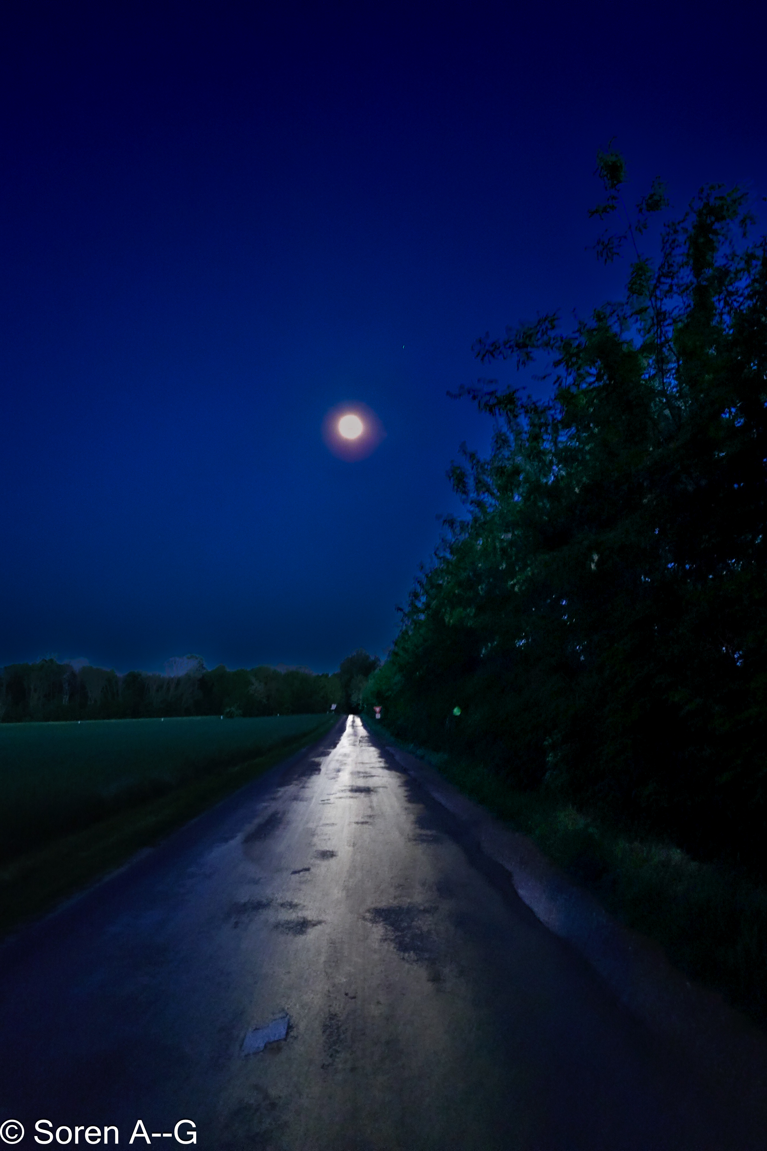 chemin éclairé de la lune